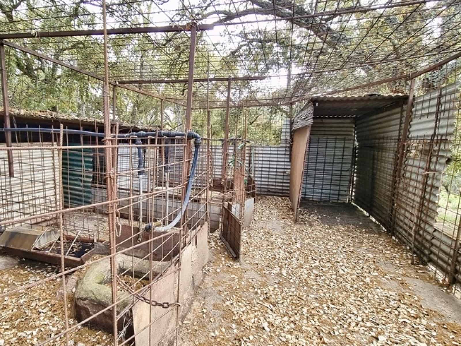 4 soveværelse Finca/Landehus til salg i La Nava med swimmingpool - € 520.000 (Ref: 7437588)