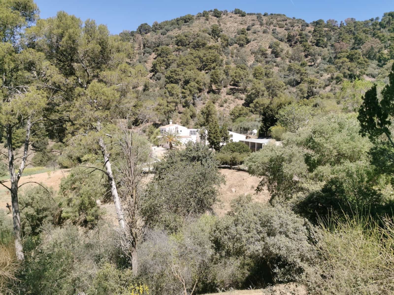 9 soverom Finca/Herregård til salgs i Colmenar med svømmebasseng garasje - € 850 000 (Ref: 7585685)