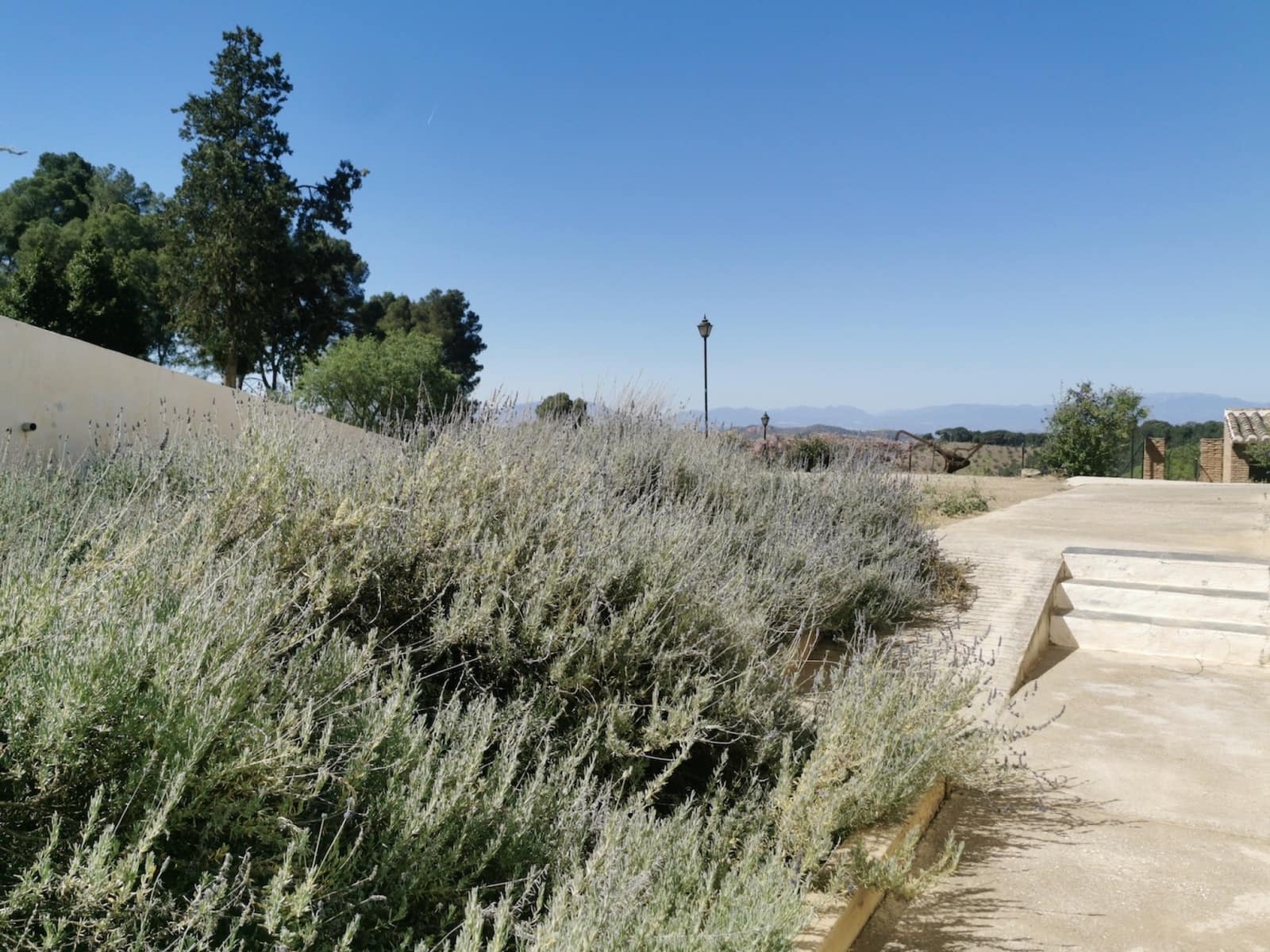 9 soverom Finca/Herregård til salgs i Colmenar med svømmebasseng garasje - € 850 000 (Ref: 7585685)