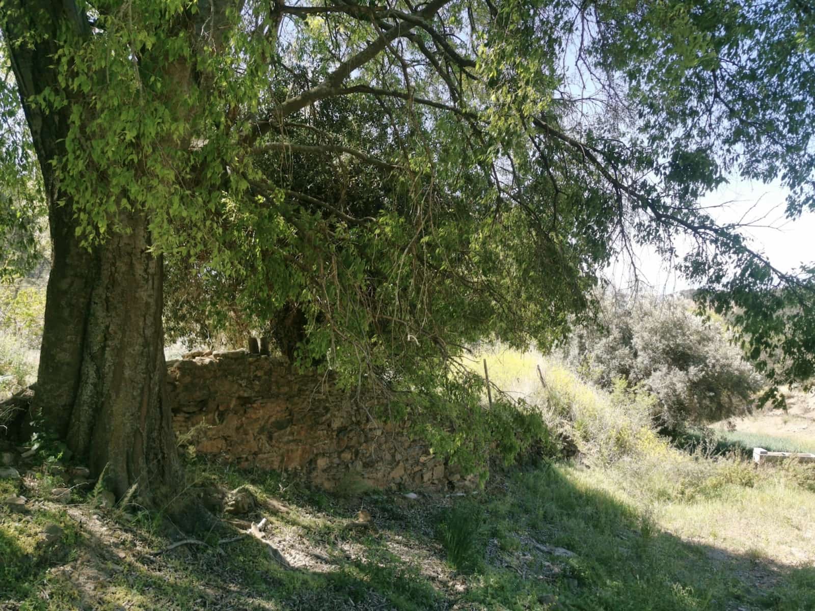 9 soverom Finca/Herregård til salgs i Colmenar med svømmebasseng garasje - € 850 000 (Ref: 7585685)