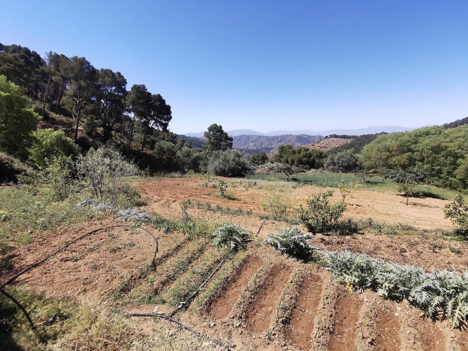 9 soverom Finca/Herregård til salgs i Colmenar med svømmebasseng garasje - € 850 000 (Ref: 7585685)