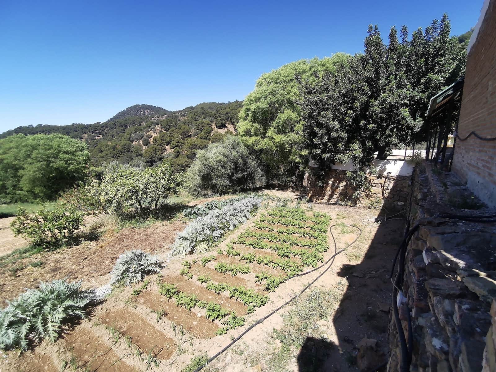 9 soverom Finca/Herregård til salgs i Colmenar med svømmebasseng garasje - € 850 000 (Ref: 7585685)