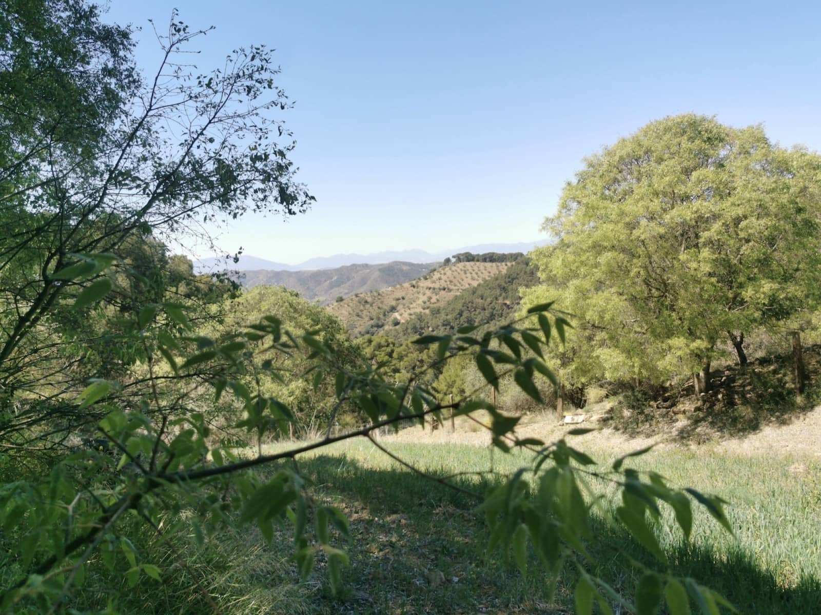 9 soverom Finca/Herregård til salgs i Colmenar med svømmebasseng garasje - € 850 000 (Ref: 7585685)