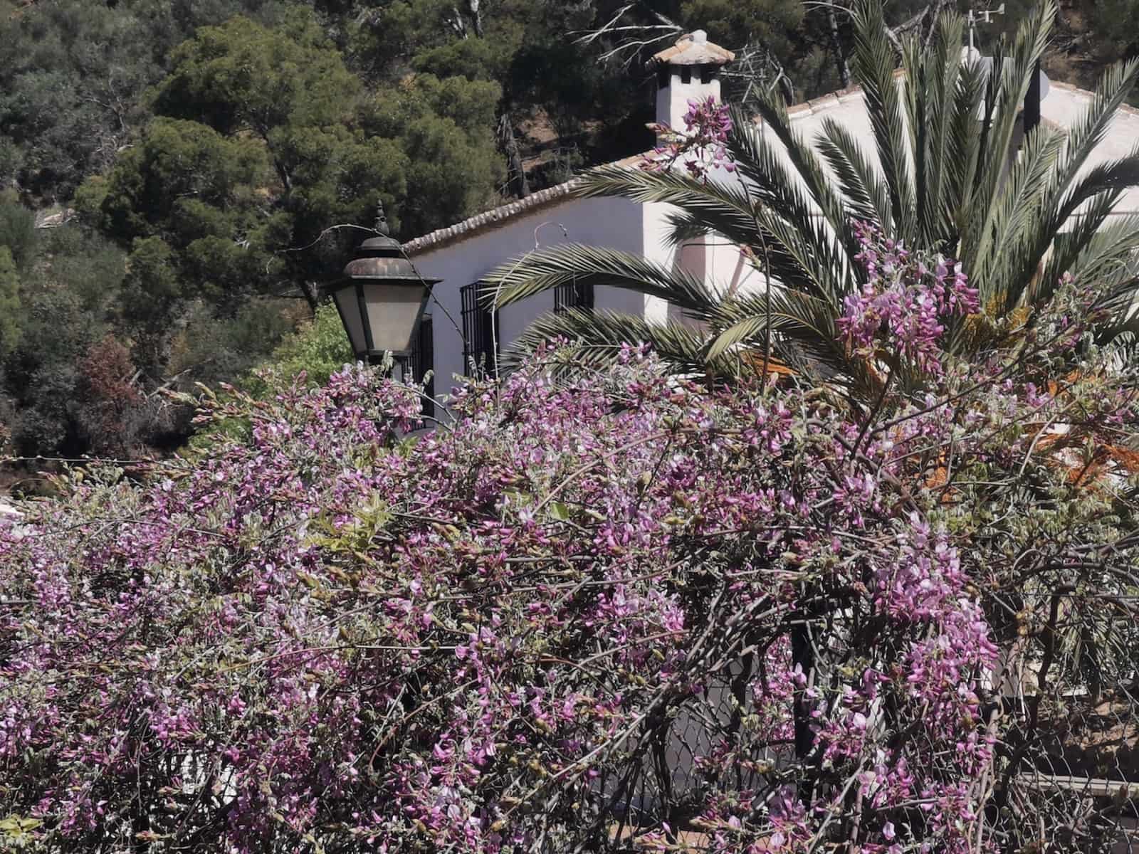 9 soverom Finca/Herregård til salgs i Colmenar med svømmebasseng garasje - € 850 000 (Ref: 7585685)