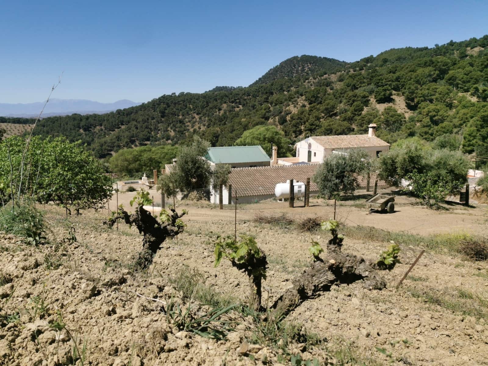 9 soverom Finca/Herregård til salgs i Colmenar med svømmebasseng garasje - € 850 000 (Ref: 7585685)