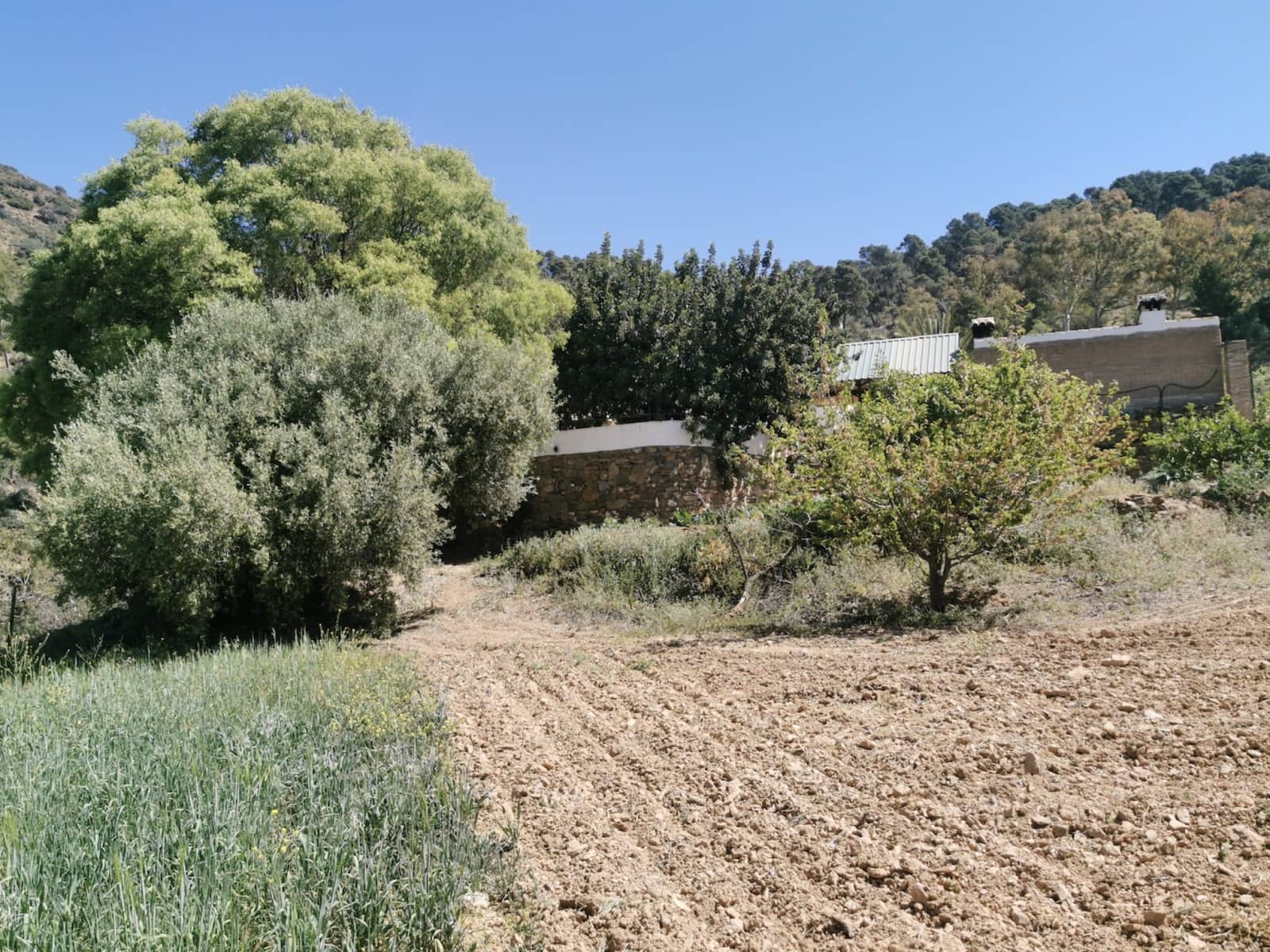 9 soverom Finca/Herregård til salgs i Colmenar med svømmebasseng garasje - € 850 000 (Ref: 7585685)