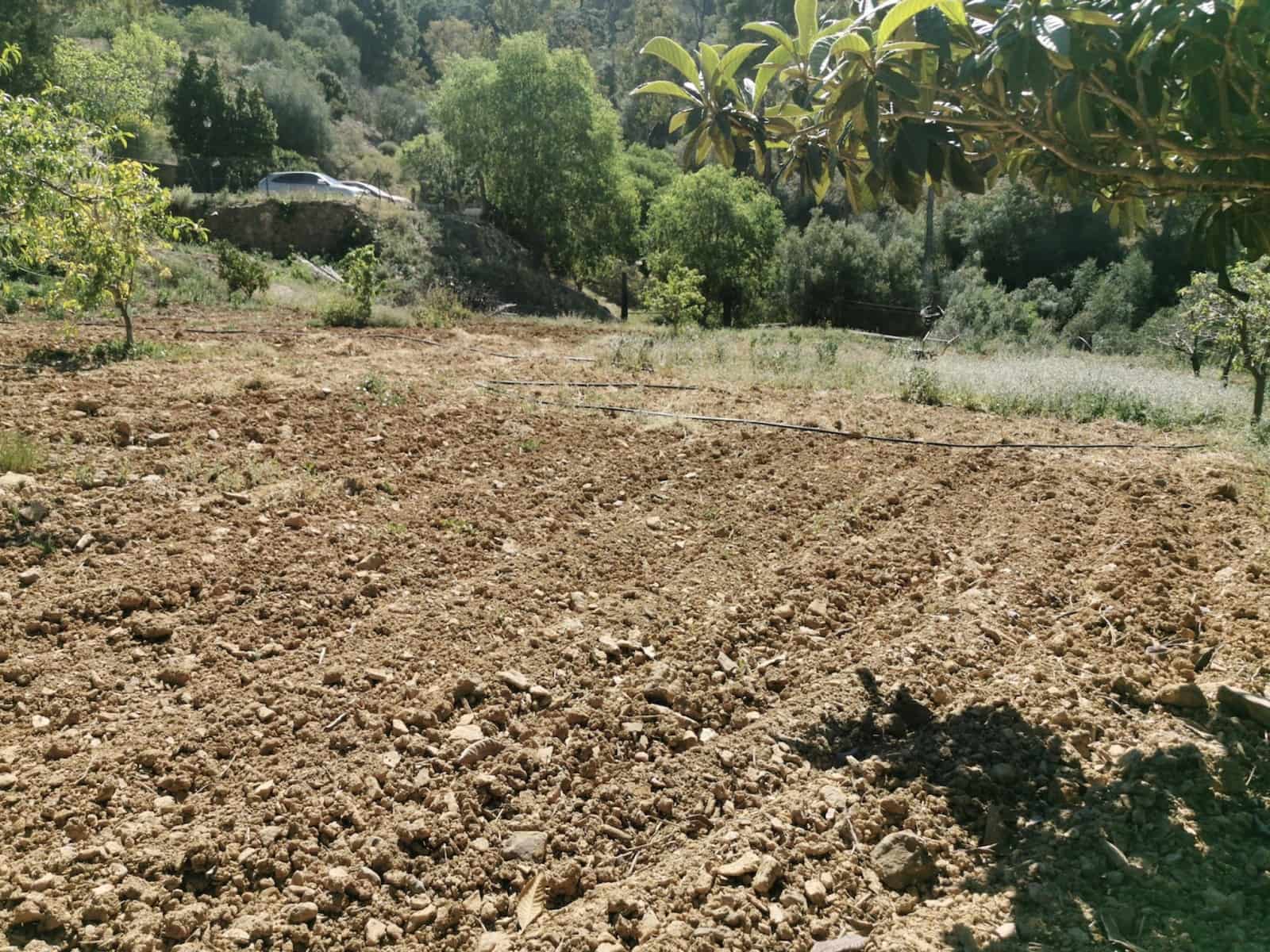 9 soverom Finca/Herregård til salgs i Colmenar med svømmebasseng garasje - € 850 000 (Ref: 7585685)