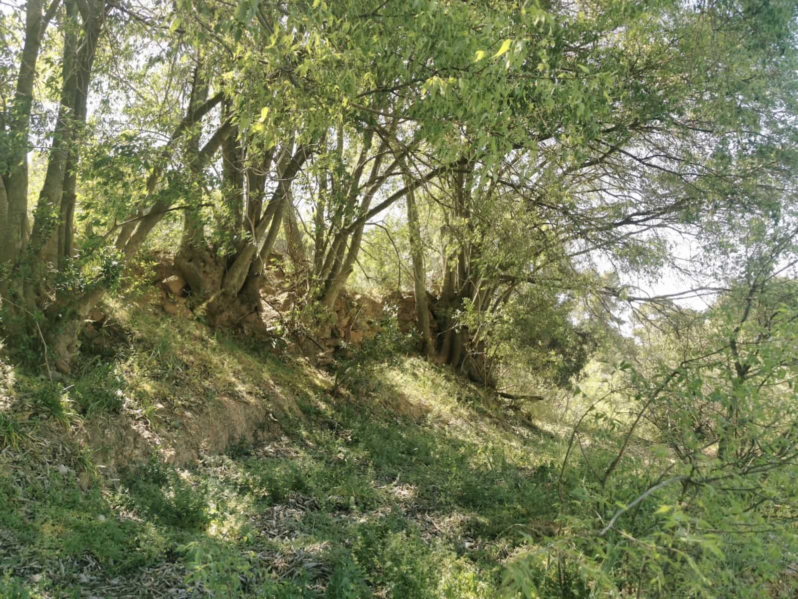 9 soverom Finca/Herregård til salgs i Colmenar med svømmebasseng garasje - € 850 000 (Ref: 7585685)