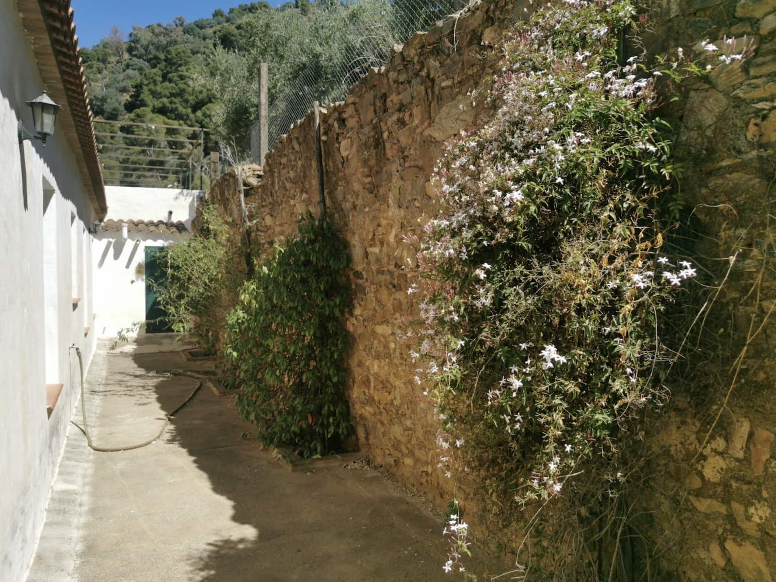 9 soverom Finca/Herregård til salgs i Colmenar med svømmebasseng garasje - € 850 000 (Ref: 7585685)