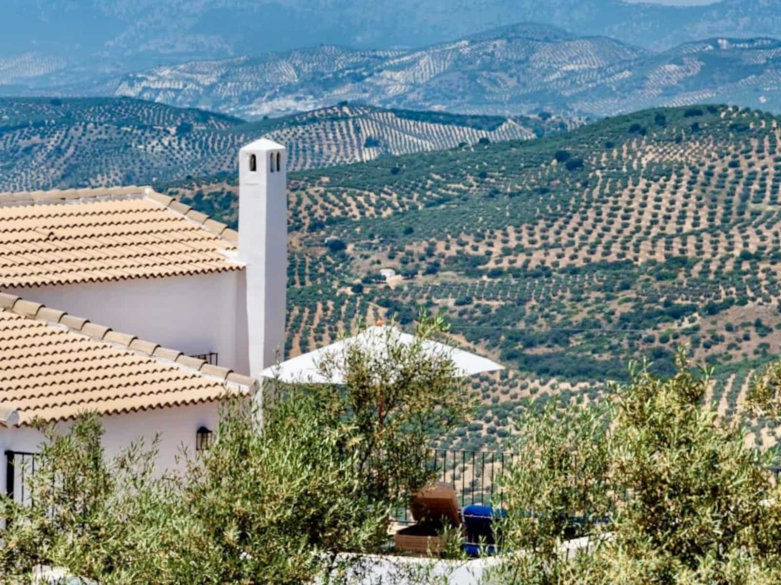 5 soveværelse Finca/Landehus til salg i Zagra med swimmingpool - € 675.000 (Ref: 7593970)