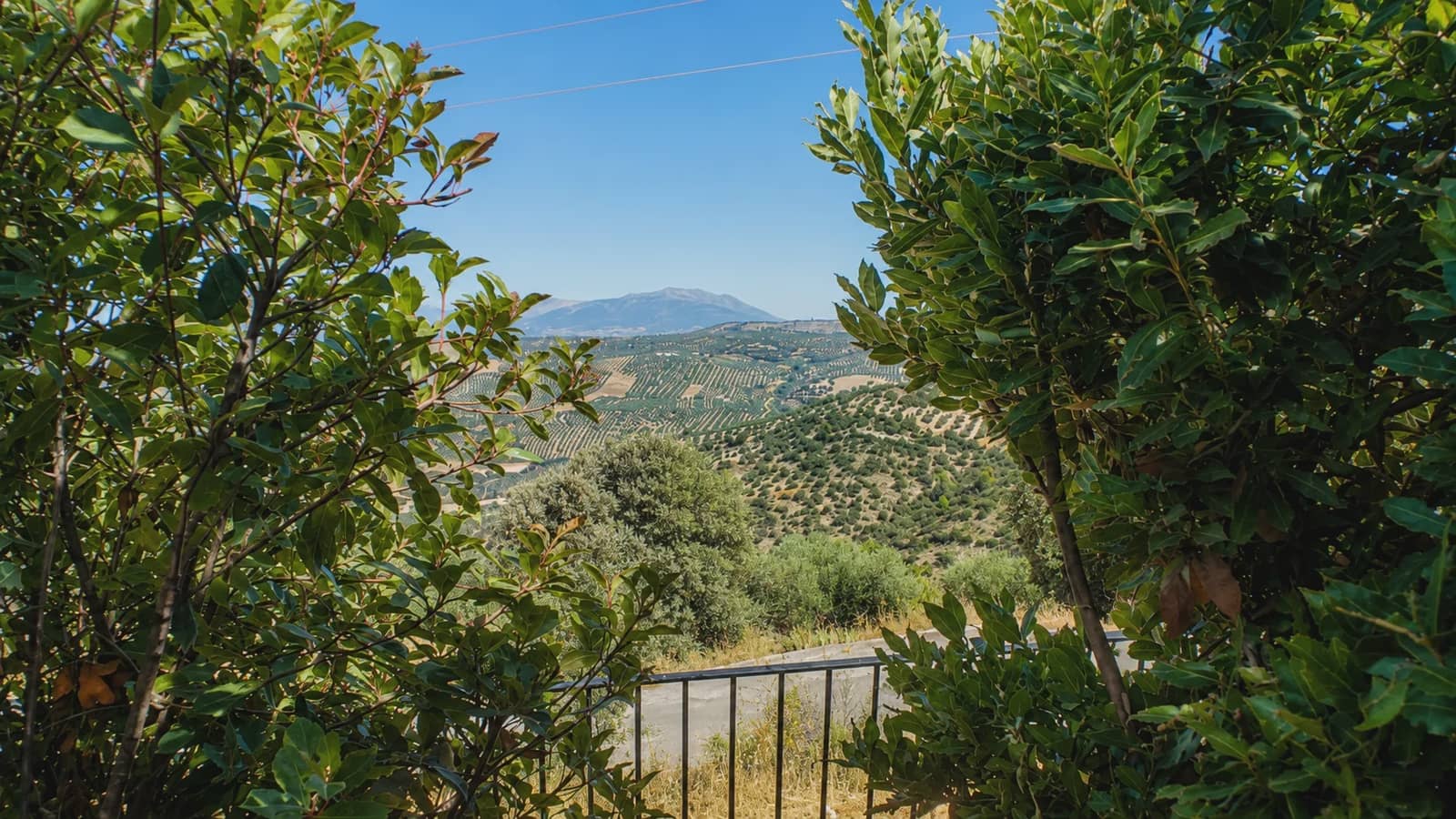 5 soveværelse Finca/Landehus til salg i Zagra med swimmingpool - € 595.000 (Ref: 7593970)