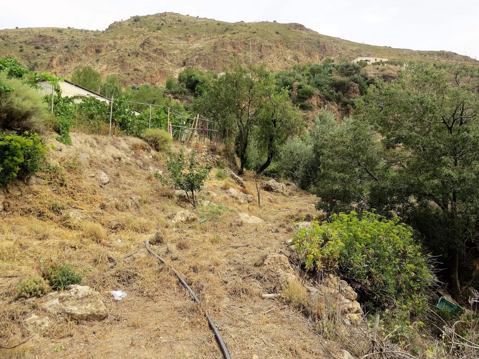 3 soveværelse Finca/Landehus til salg i Castaras - € 135.000 (Ref: 7720793)