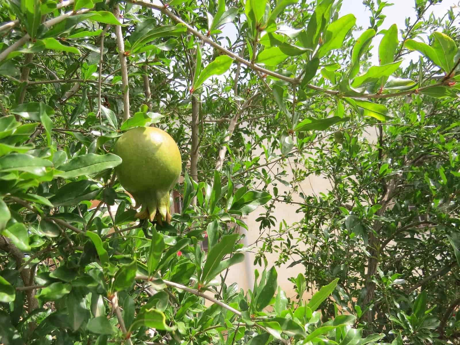 3 soveværelse Finca/Landehus til salg i Castaras - € 135.000 (Ref: 7720793)