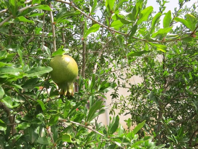 3 soveværelse Finca/Landehus til salg i Cástaras - € 135.000 (Ref: 7720793)