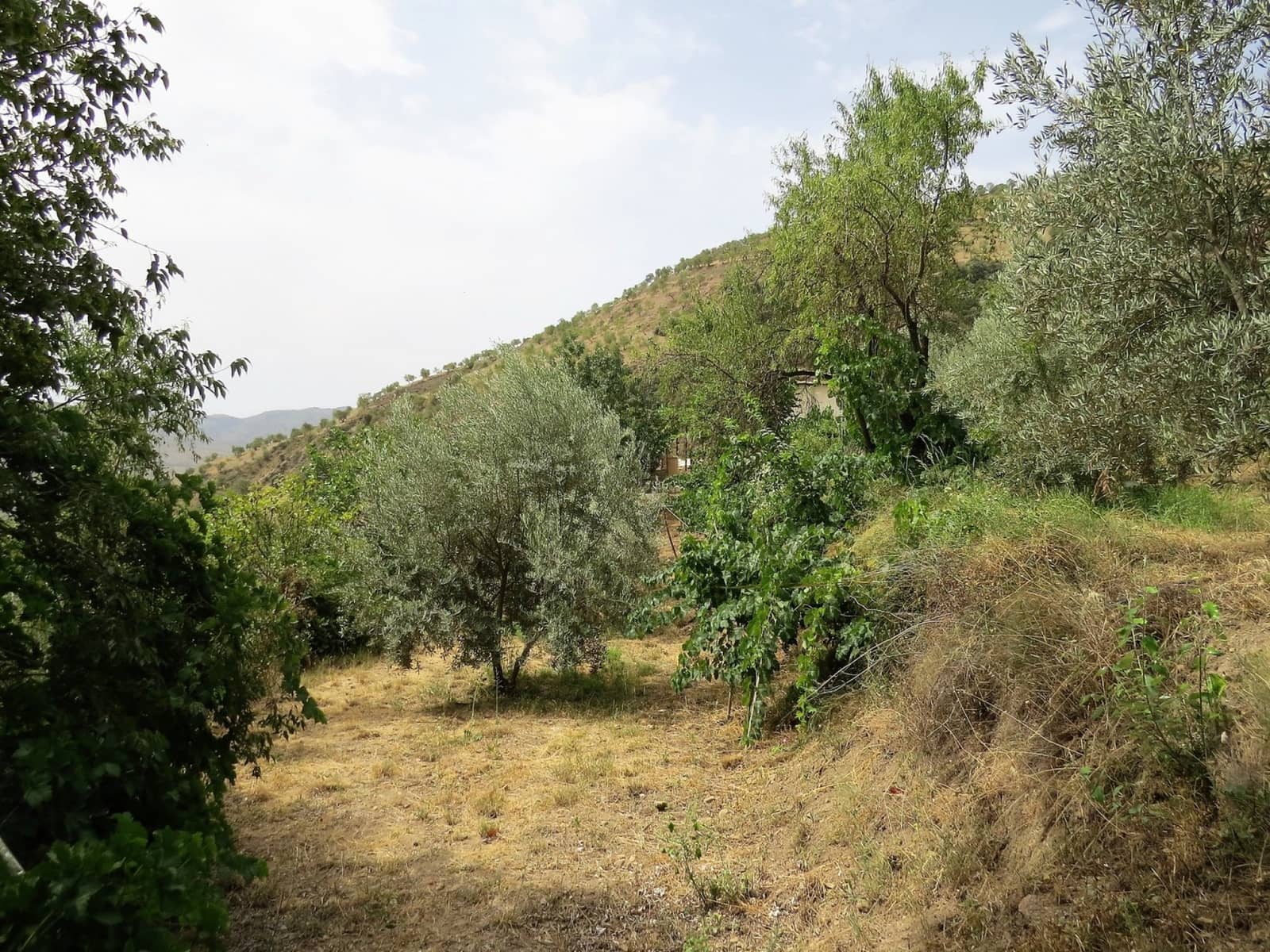 3 soveværelse Finca/Landehus til salg i Castaras - € 135.000 (Ref: 7720793)