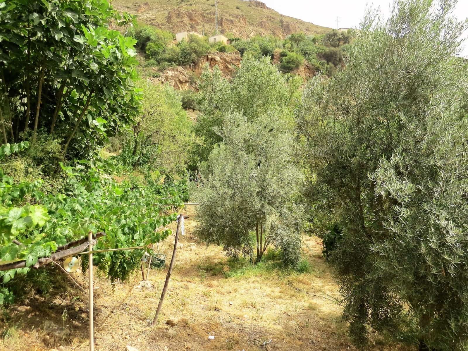 3 soveværelse Finca/Landehus til salg i Castaras - € 135.000 (Ref: 7720793)