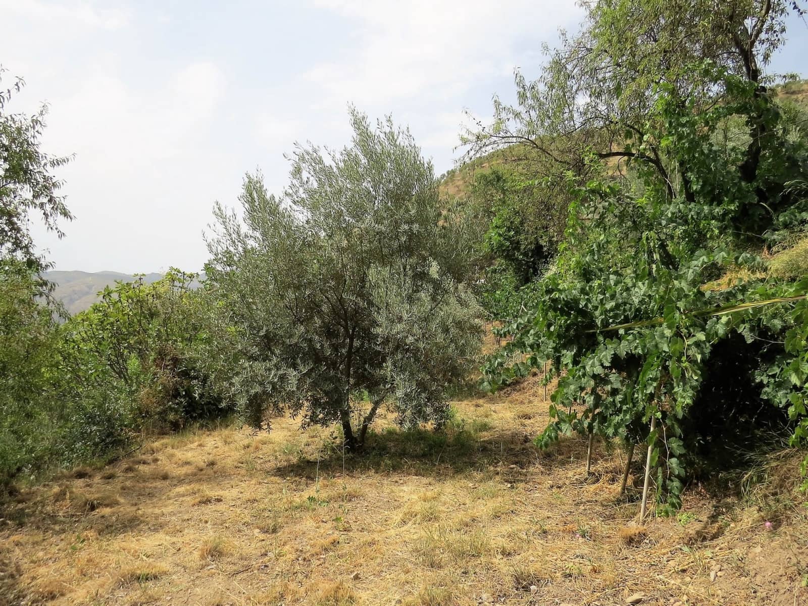 3 soveværelse Finca/Landehus til salg i Castaras - € 135.000 (Ref: 7720793)