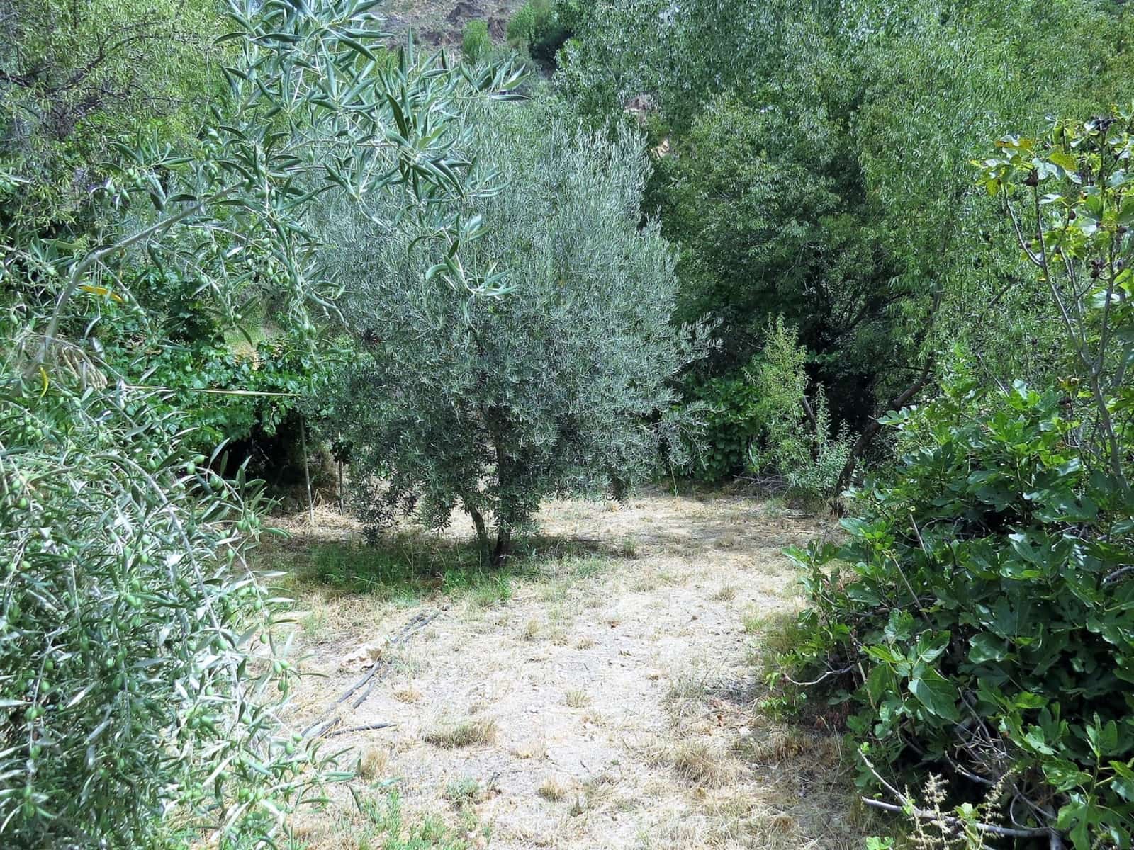 3 soveværelse Finca/Landehus til salg i Castaras - € 135.000 (Ref: 7720793)