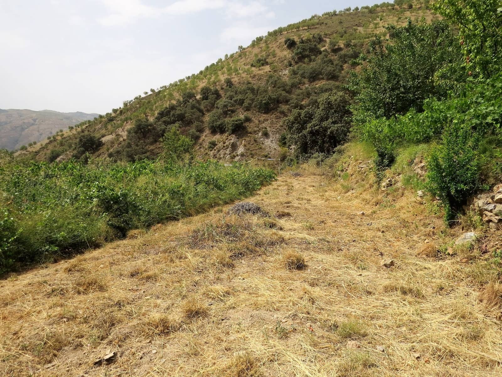 3 soveværelse Finca/Landehus til salg i Castaras - € 135.000 (Ref: 7720793)