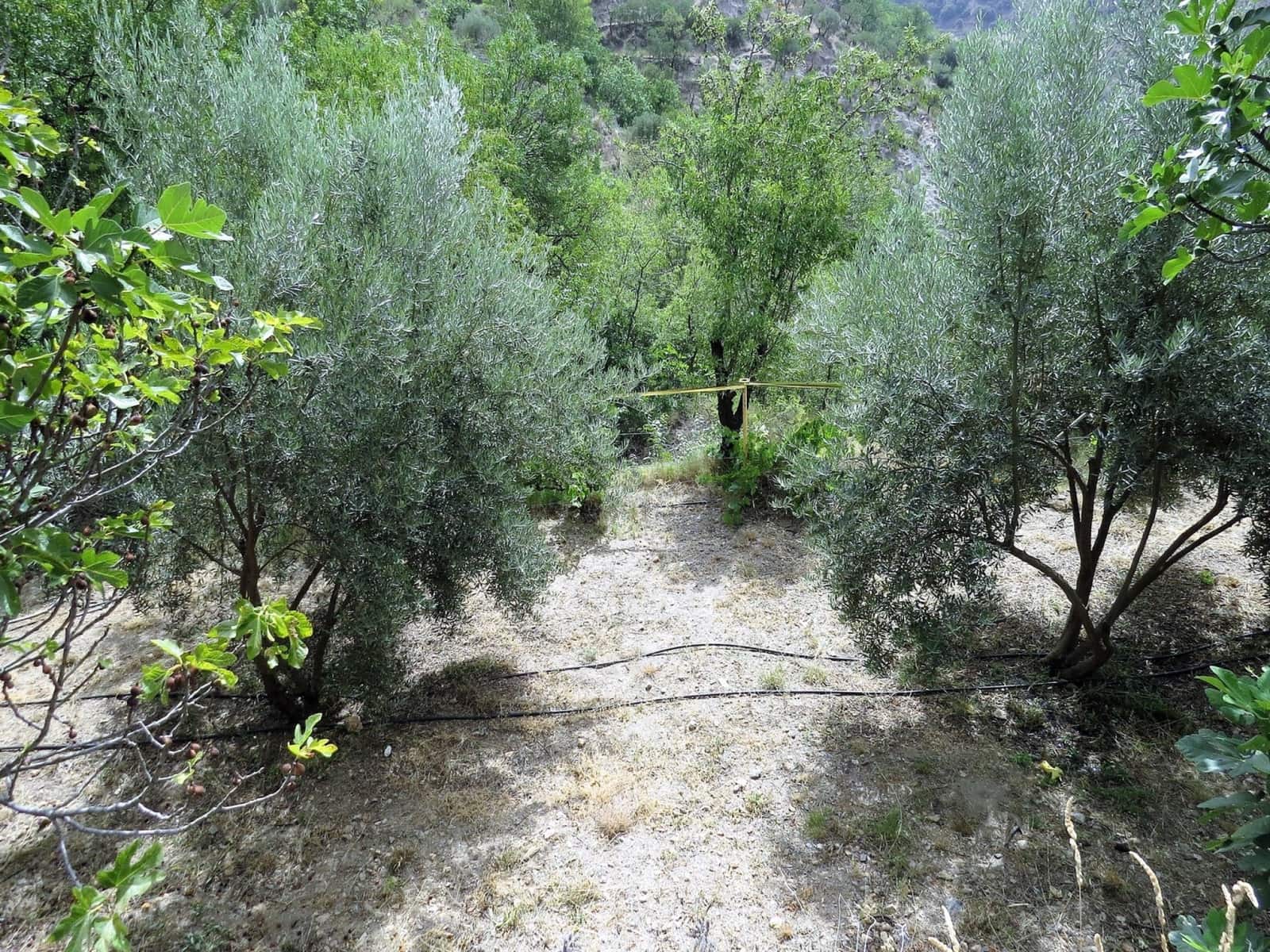 3 soveværelse Finca/Landehus til salg i Castaras - € 135.000 (Ref: 7720793)