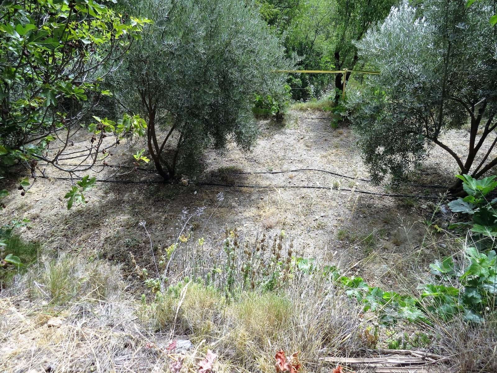 3 soveværelse Finca/Landehus til salg i Castaras - € 135.000 (Ref: 7720793)