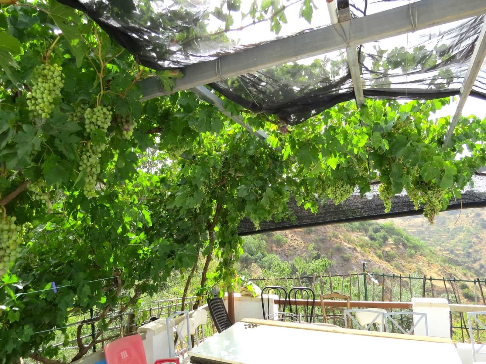 3 soveværelse Finca/Landehus til salg i Castaras - € 135.000 (Ref: 7720793)