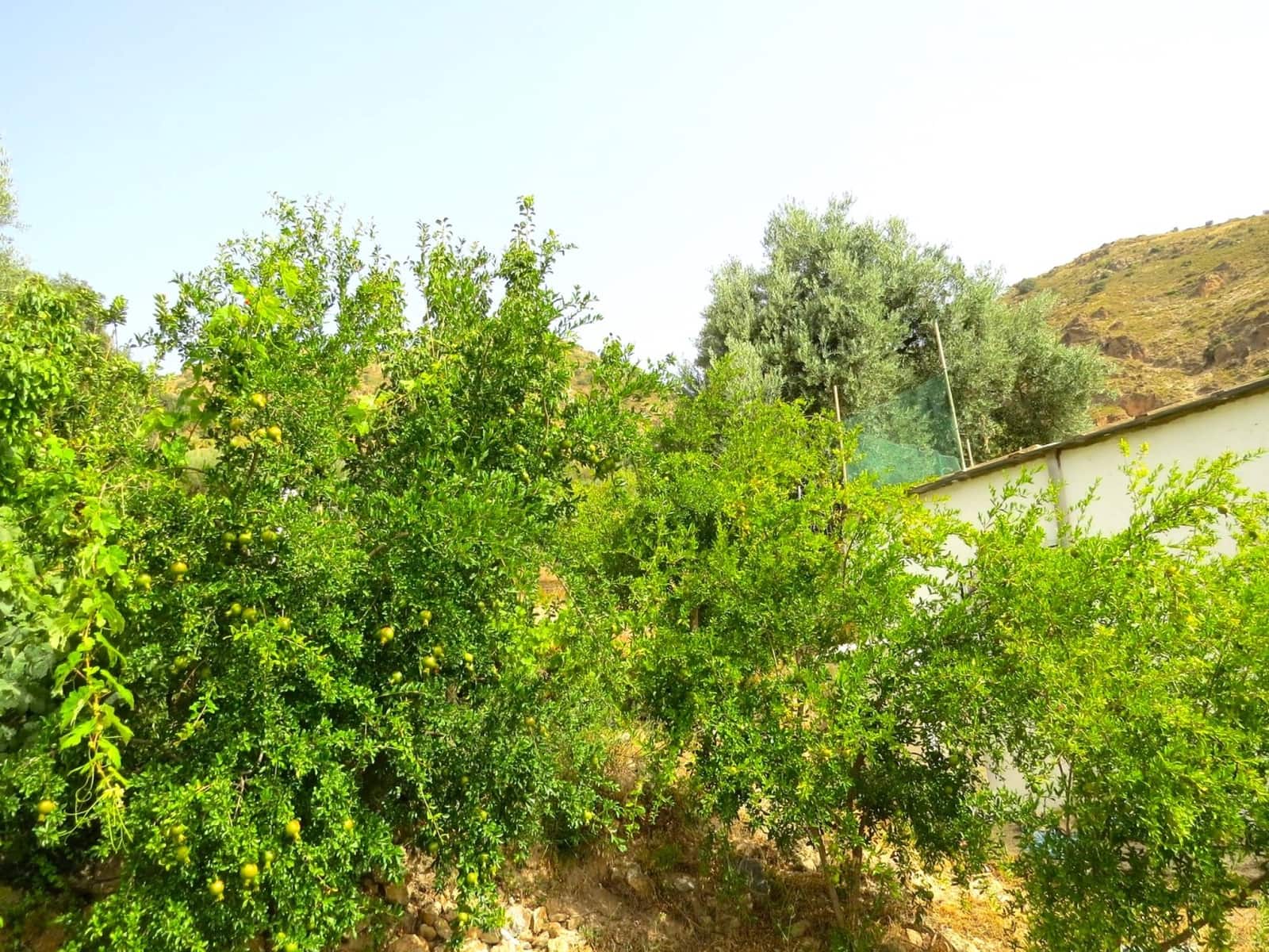 3 soveværelse Finca/Landehus til salg i Castaras - € 135.000 (Ref: 7720793)