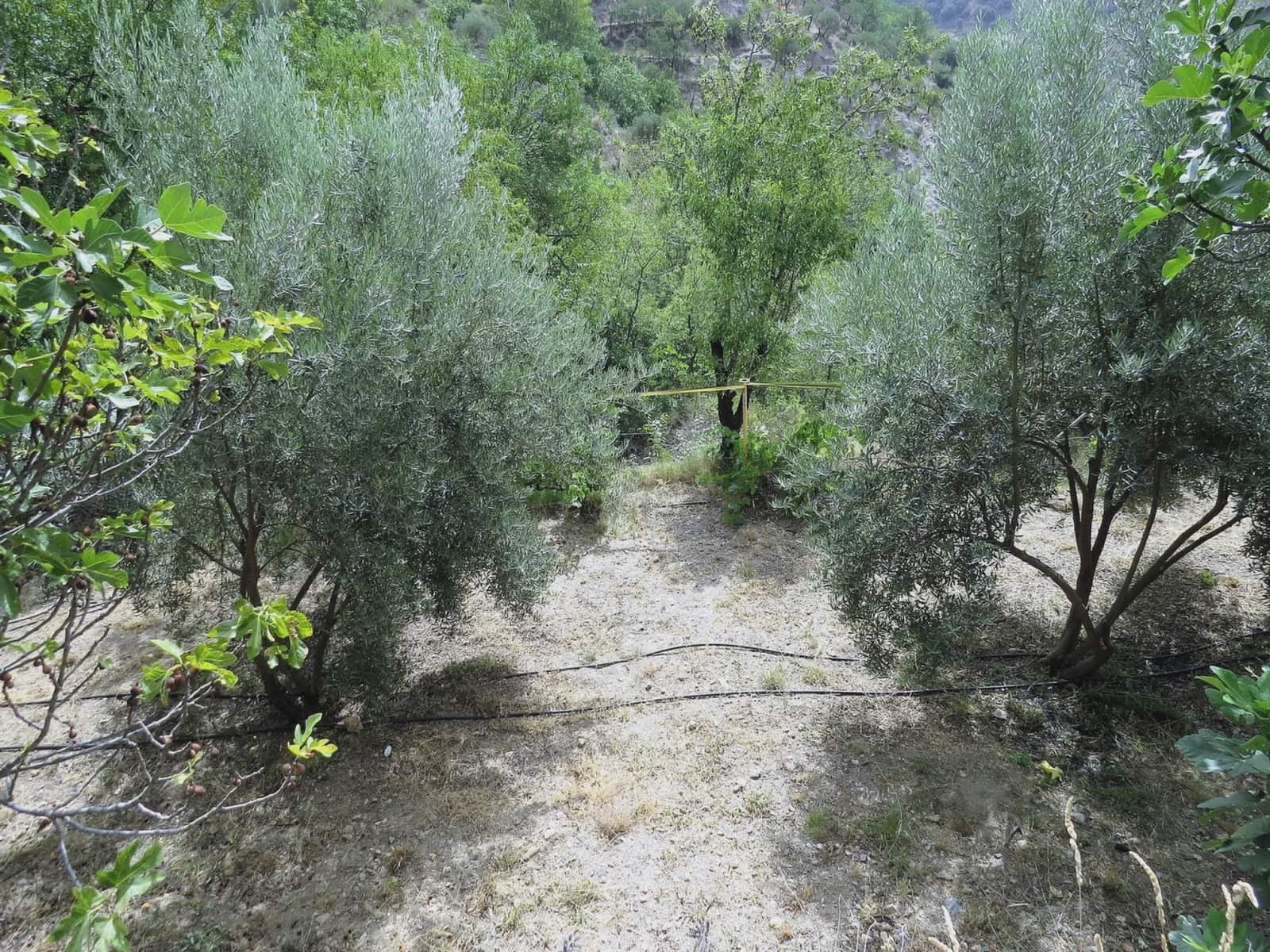 3 soveværelse Finca/Landehus til salg i Castaras - € 135.000 (Ref: 7720793)
