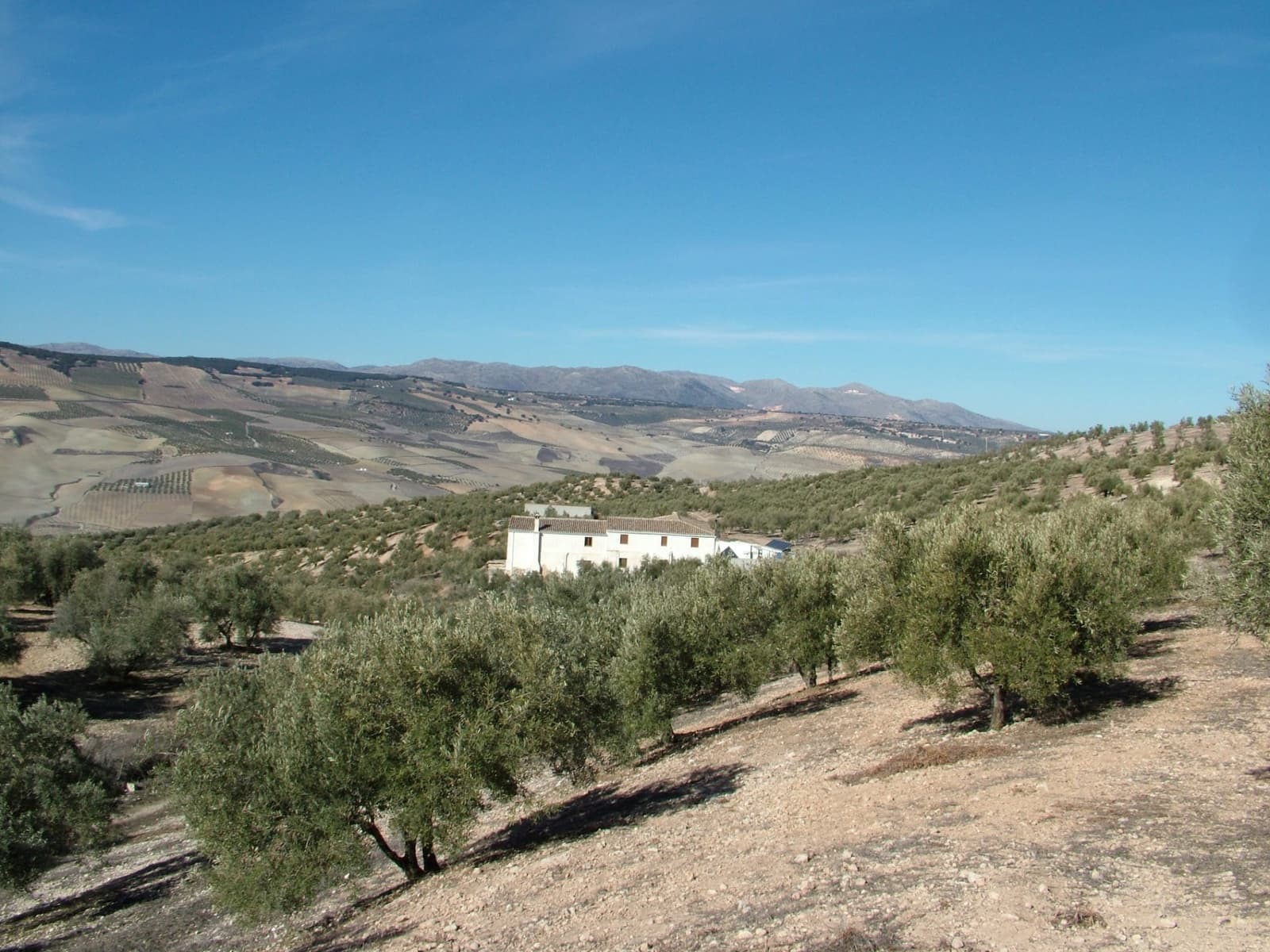 5 soveværelse Finca/Landehus til salg i Alhama de Granada - € 1.300.000 (Ref: 7835833)