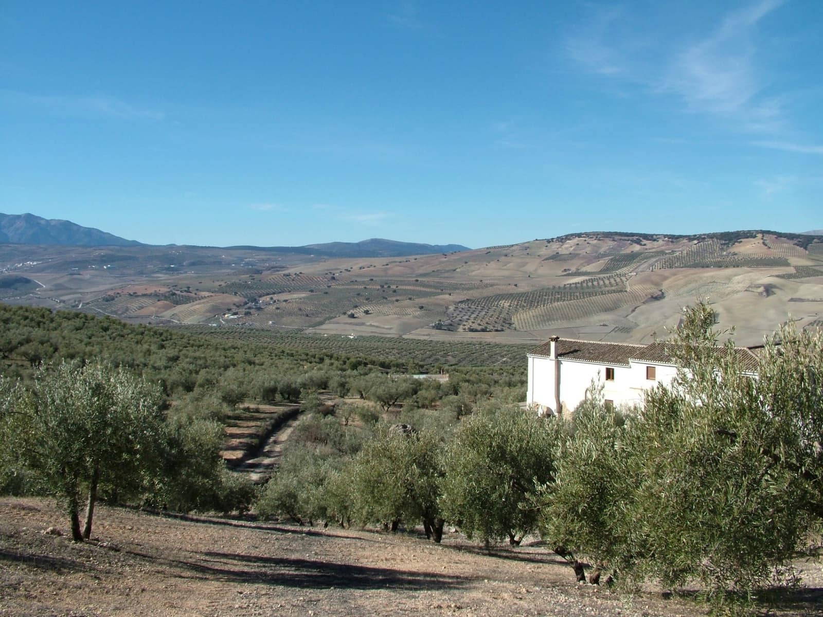 5 soveværelse Finca/Landehus til salg i Alhama de Granada - € 1.300.000 (Ref: 7835833)