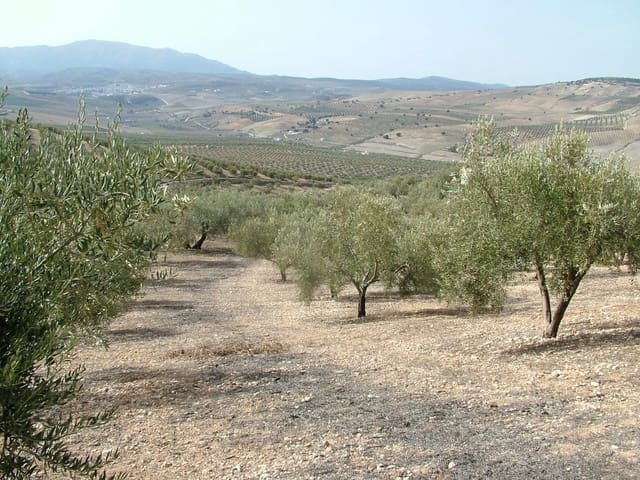 5 sypialnia Finka/Dom wiejski na sprzedaż w Alhama de Granada - 1 300 000 € (Ref: 7835833)