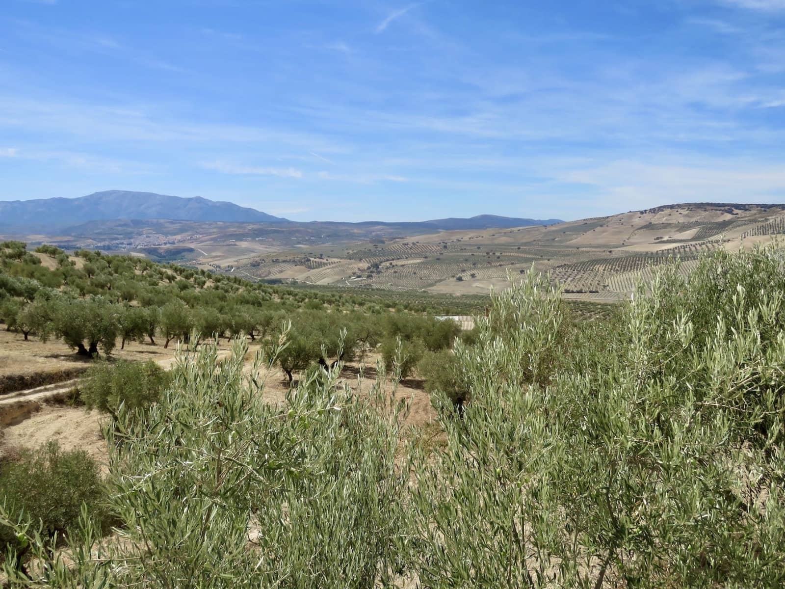 5 soveværelse Finca/Landehus til salg i Alhama de Granada - € 1.300.000 (Ref: 7835833)