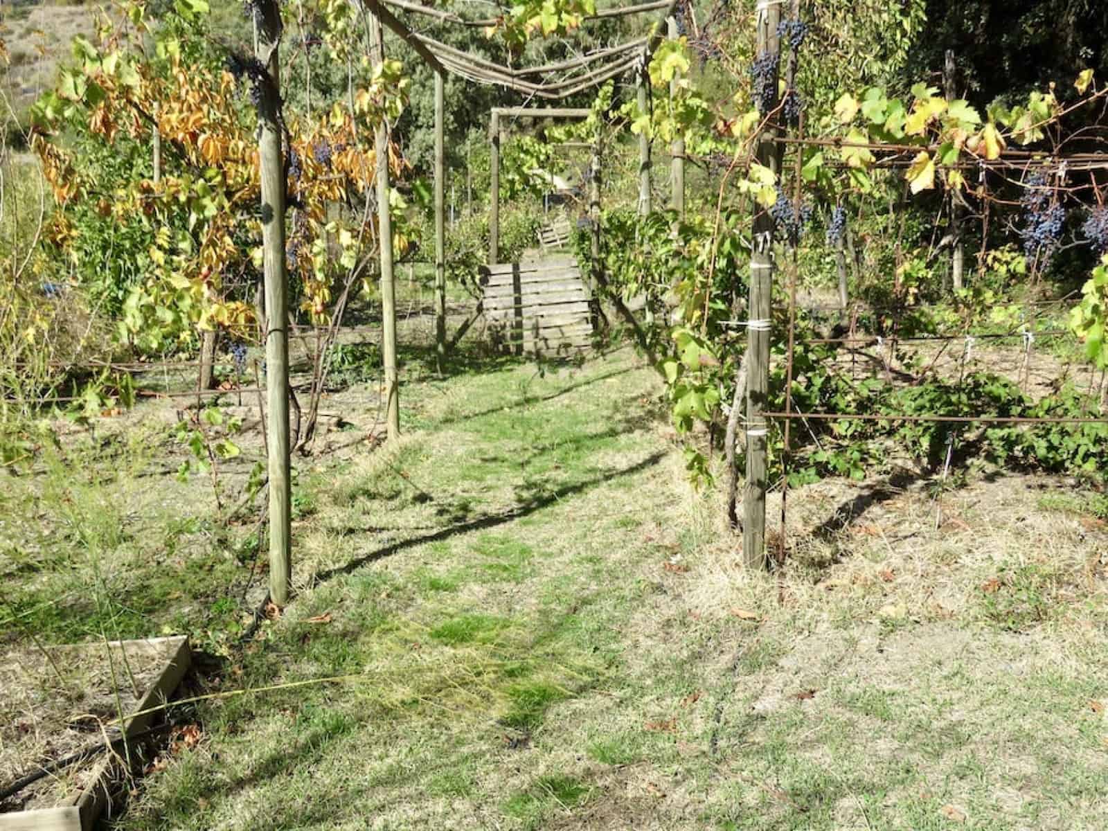 4 soveværelse Finca/Landehus til salg i Portugos med garage - € 575.000 (Ref: 7901601)