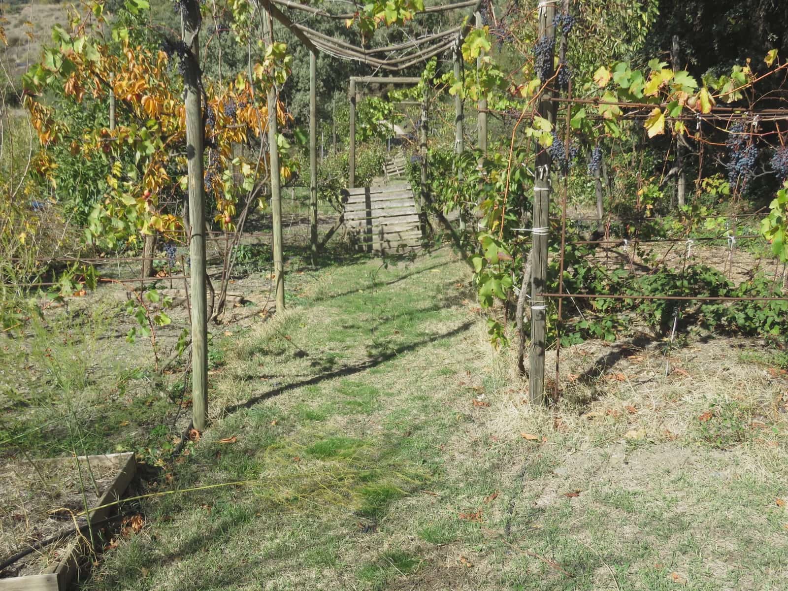 4 slaapkamer Finca/Landhuis te koop in Portugos met garage - € 550.000 (Ref: 7901601)