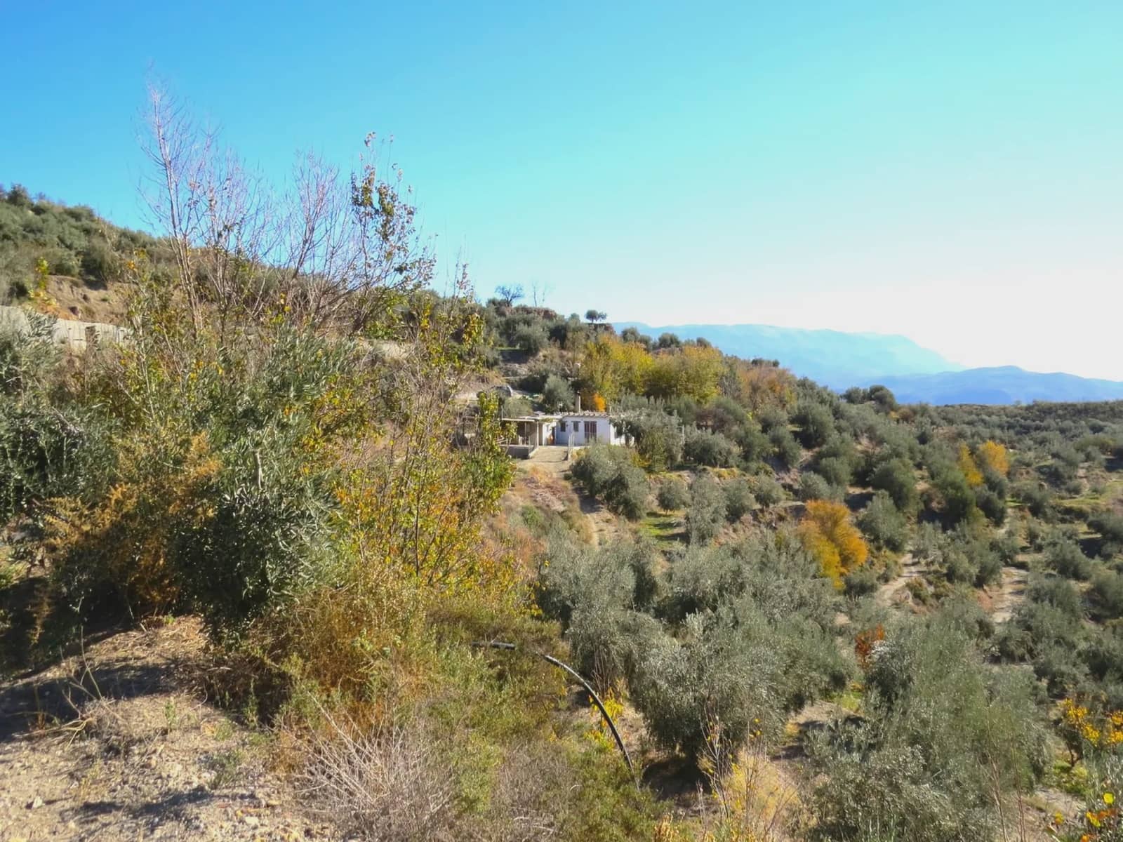 2 soveværelse Finca/Landehus til salg i Valor - € 160.000 (Ref: 8007143)
