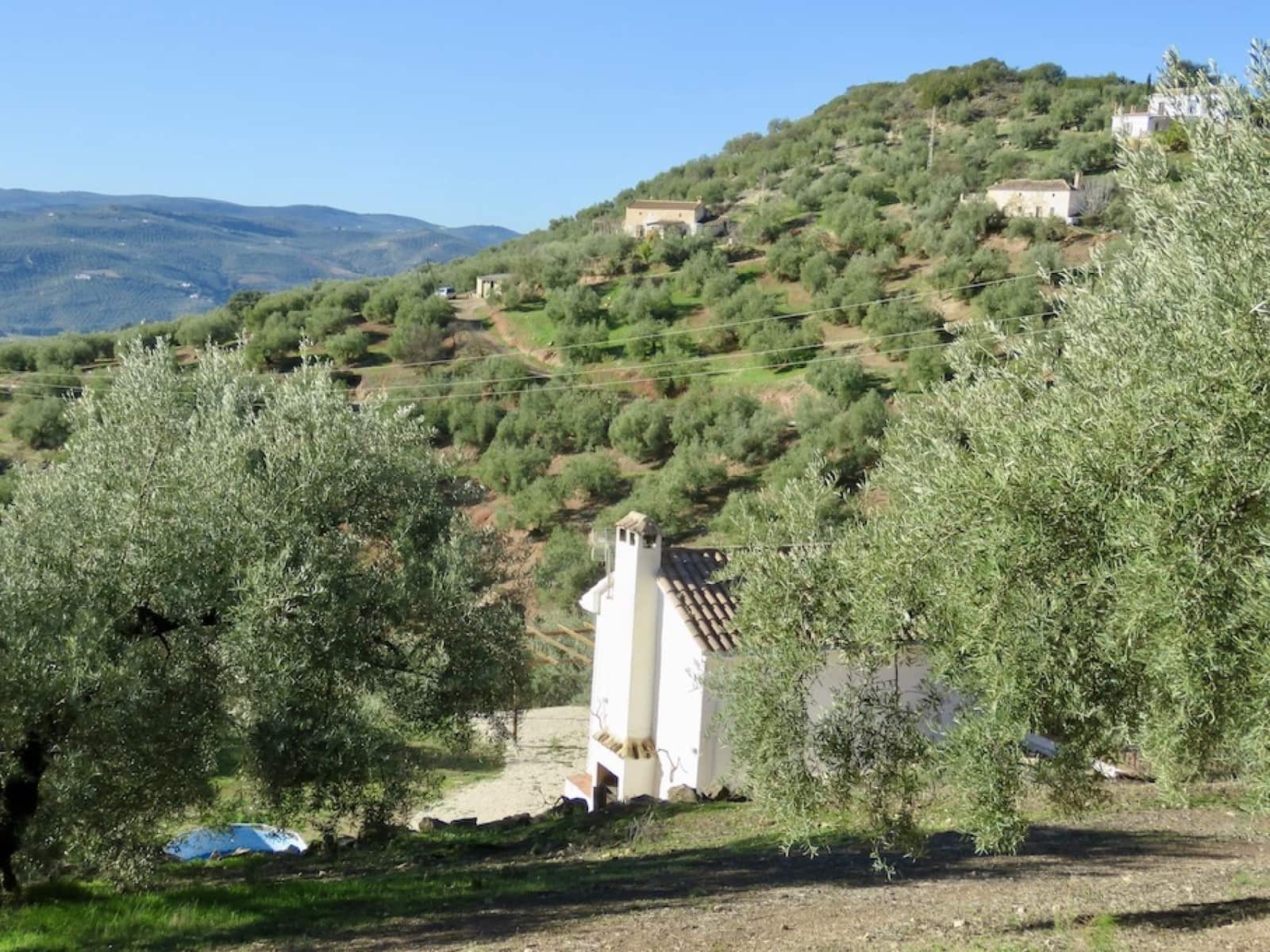 4 soverom Finca/Herregård til salgs i Iznajar - € 189 000 (Ref: 8016574)