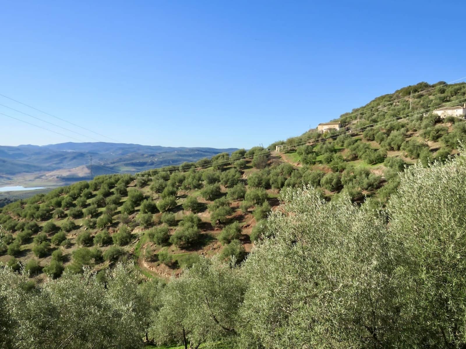 4 soverom Finca/Herregård til salgs i Iznajar - € 189 000 (Ref: 8016574)