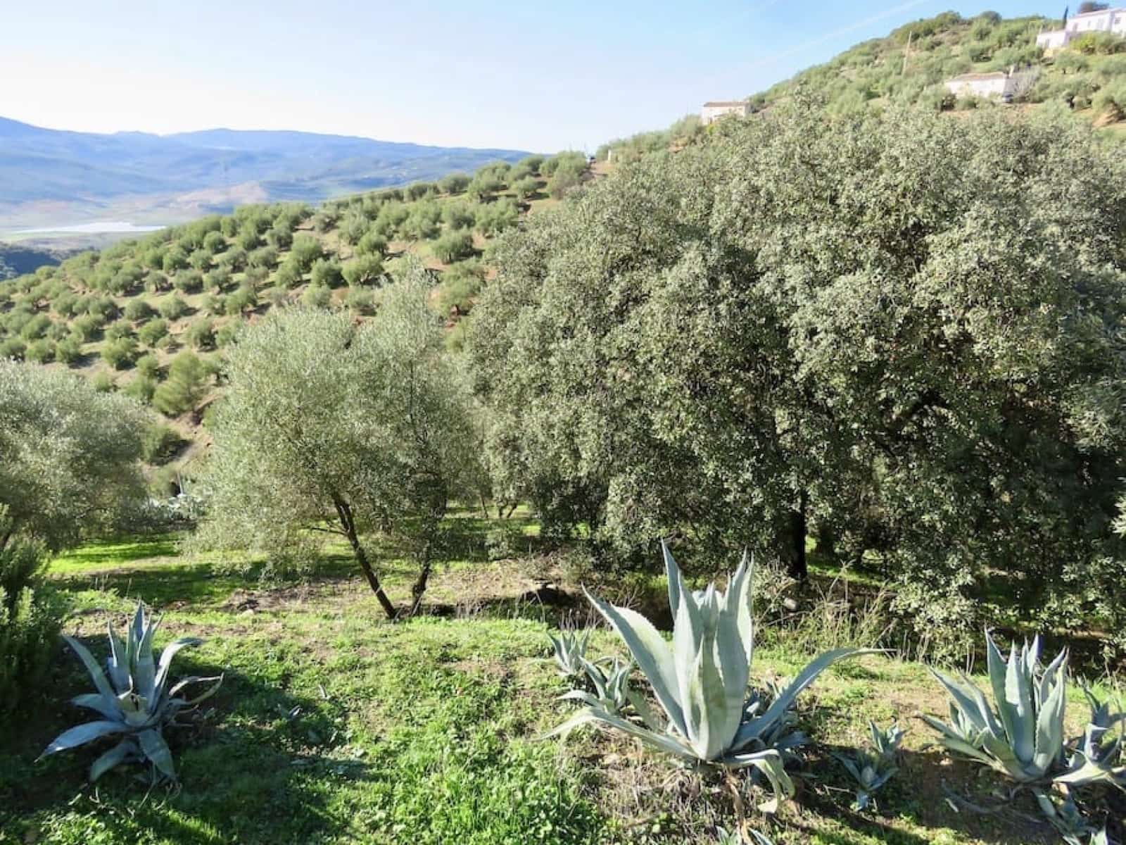 4 soverom Finca/Herregård til salgs i Iznajar - € 189 000 (Ref: 8016574)