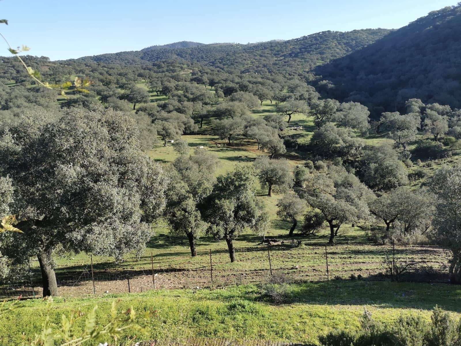 12 soveværelse Finca/Landehus til salg i Zufre med swimmingpool - € 1.300.000 (Ref: 8032506)