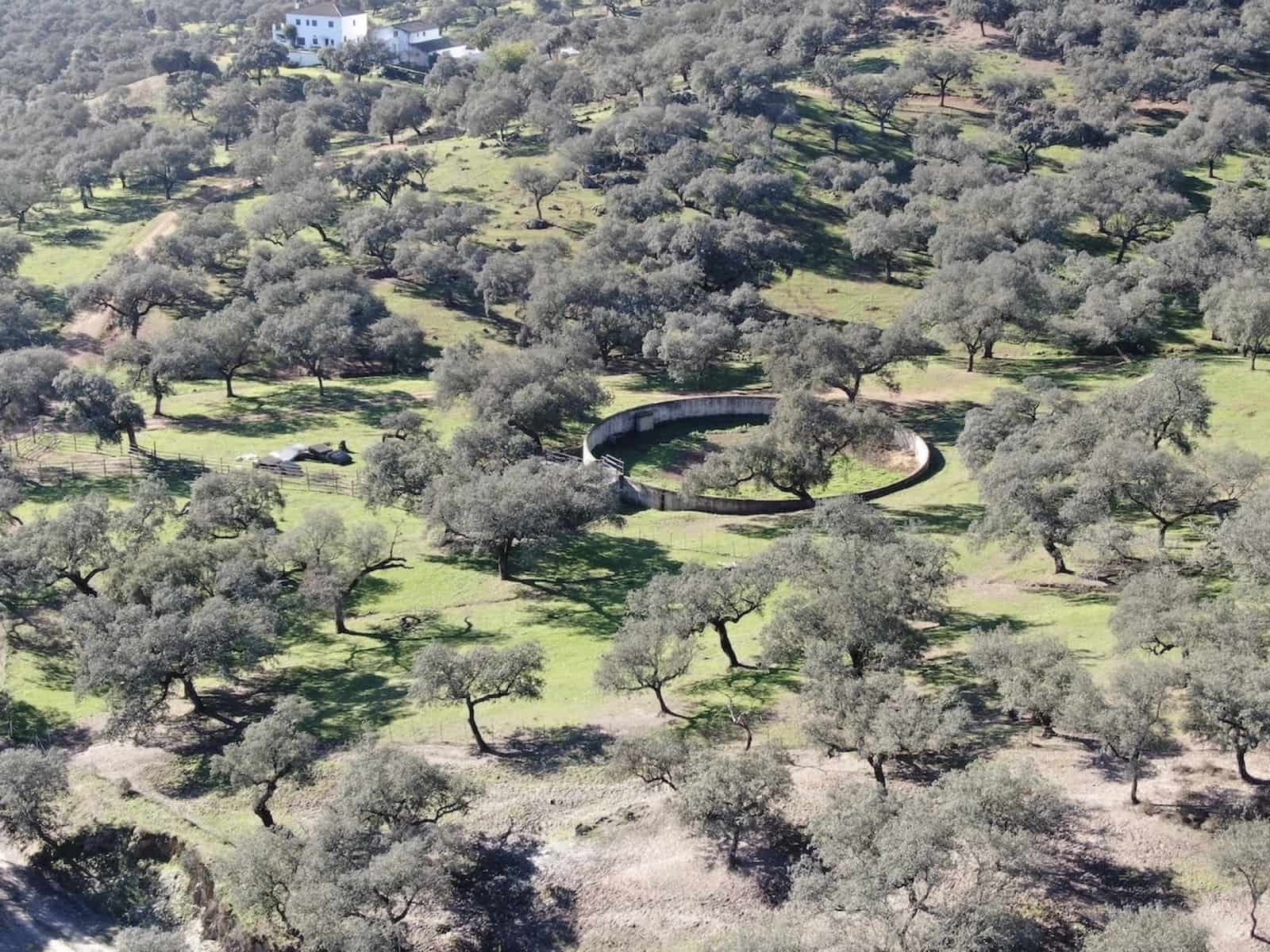 12 soveværelse Finca/Landehus til salg i Zufre med swimmingpool - € 1.300.000 (Ref: 8032506)