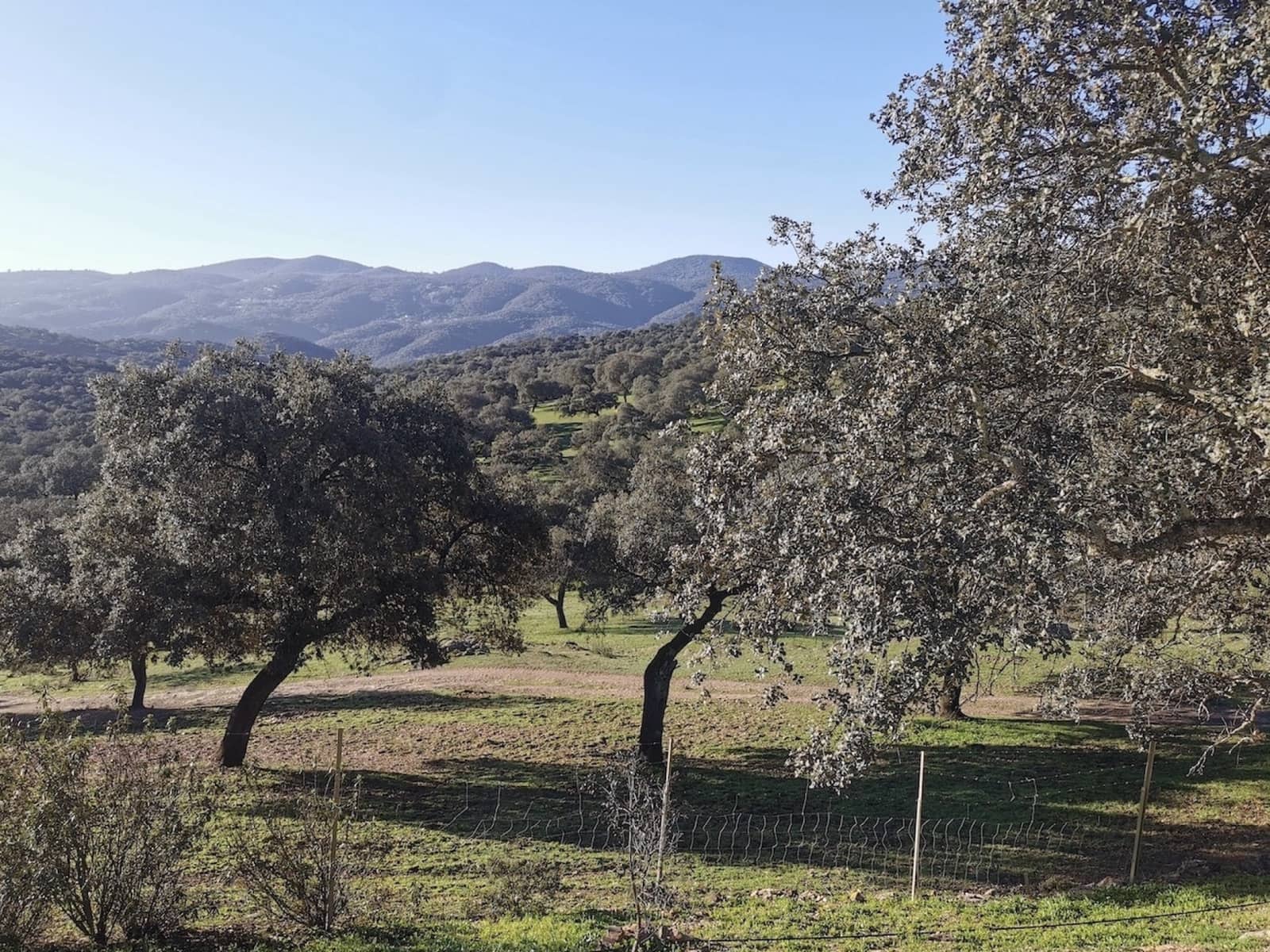 12 soveværelse Finca/Landehus til salg i Zufre med swimmingpool - € 1.300.000 (Ref: 8032506)