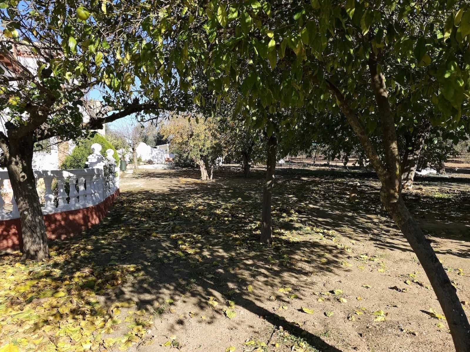5 quarto Quinta/Casa Rural para venda em Puente Genil com piscina garagem - 400 000 € (Ref: 8074384)