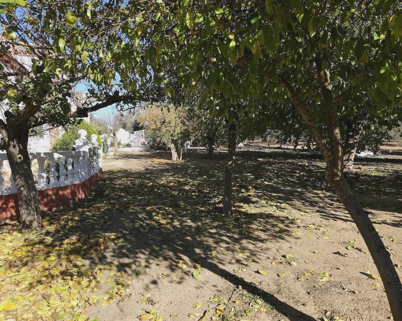 5 soveværelse Finca/Landehus til salg i Puente Genil med swimmingpool garage - € 400.000 (Ref: 8074384)