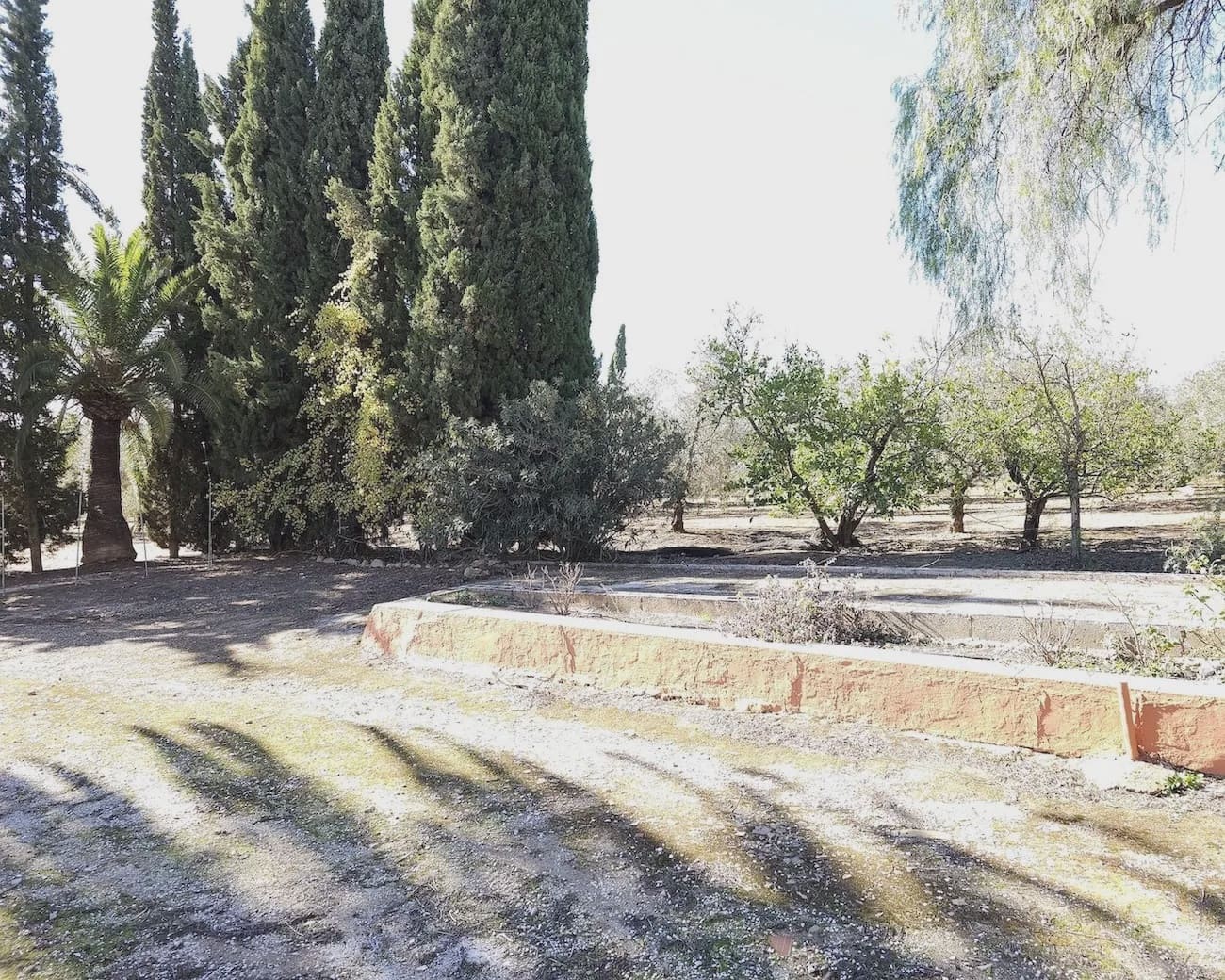 5 soveværelse Finca/Landehus til salg i Puente Genil med swimmingpool garage - € 400.000 (Ref: 8074384)