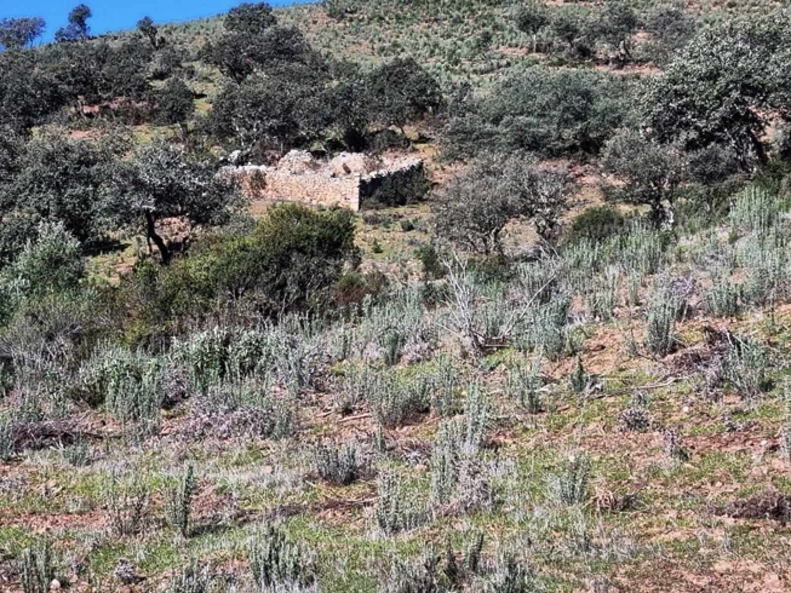 2 soveværelse Finca/Landehus til salg i Zufre med garage - € 1.250.000 (Ref: 8097259)