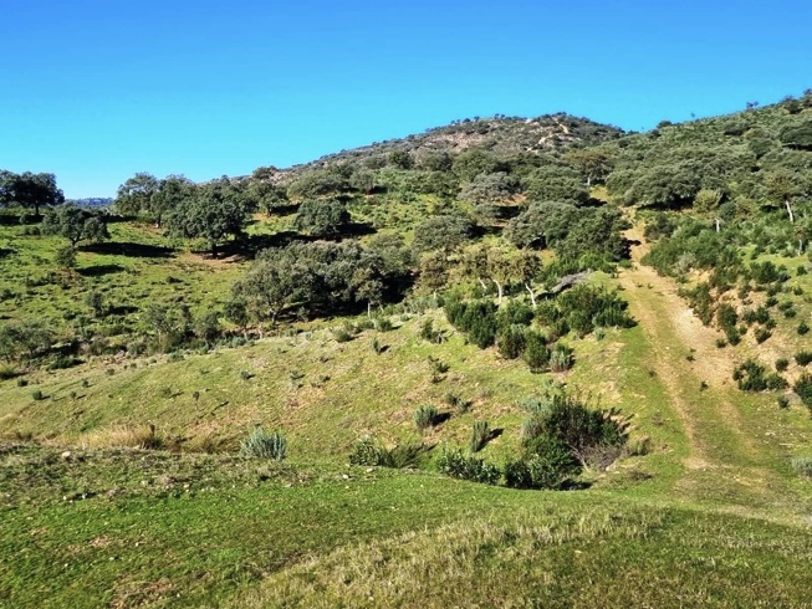 2 soveværelse Finca/Landehus til salg i Zufre med garage - € 1.250.000 (Ref: 8097259)