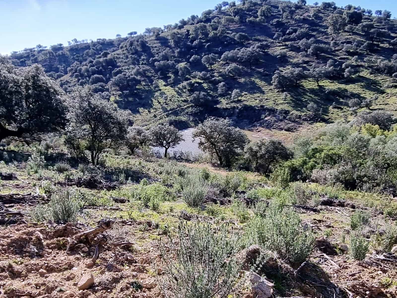 2 soveværelse Finca/Landehus til salg i Zufre med garage - € 1.250.000 (Ref: 8097259)