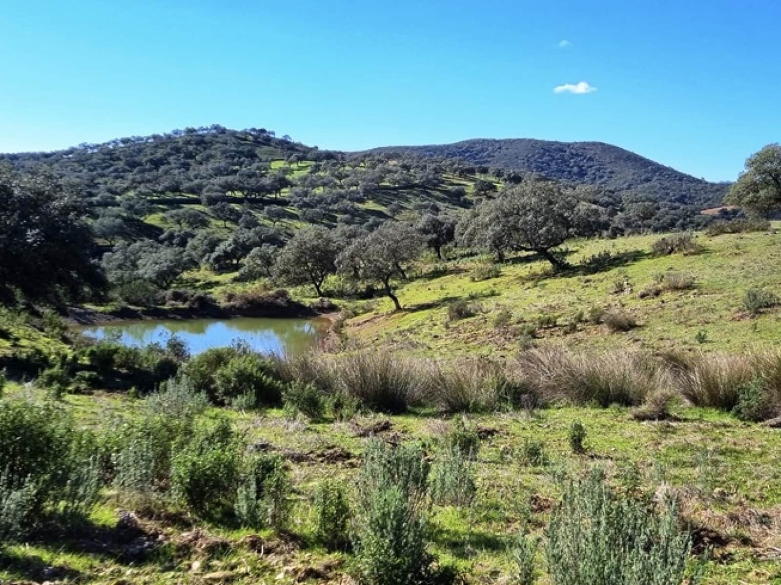 2 soveværelse Finca/Landehus til salg i Zufre med garage - € 1.250.000 (Ref: 8097259)