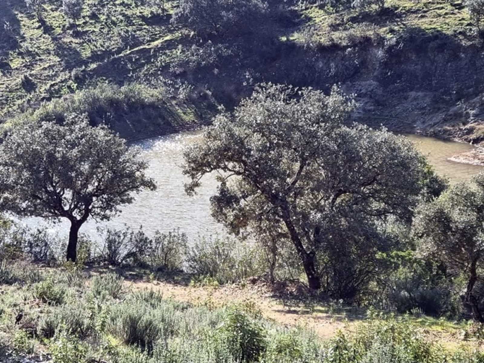 2 soveværelse Finca/Landehus til salg i Zufre med garage - € 1.250.000 (Ref: 8097259)