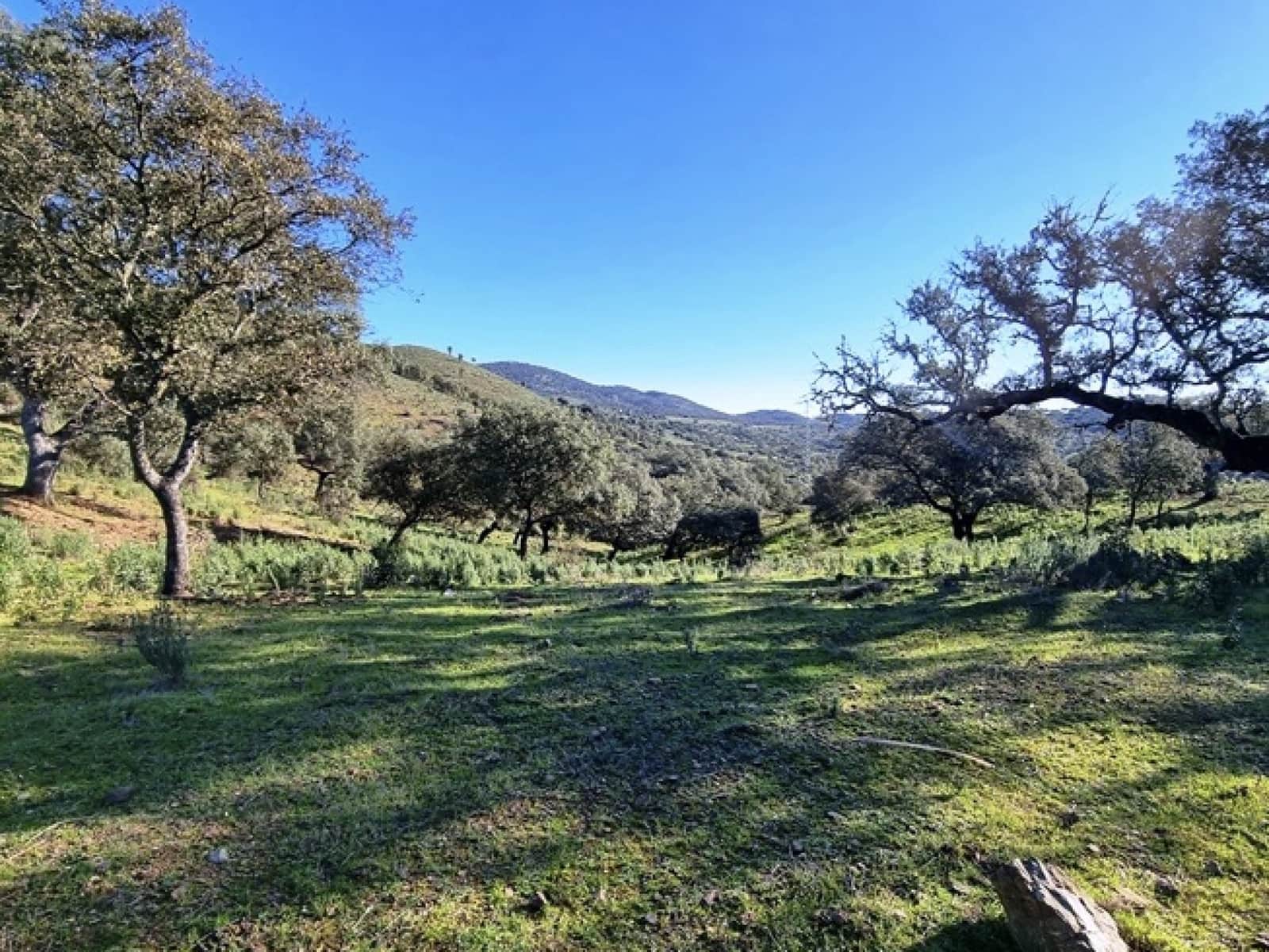 2 soveværelse Finca/Landehus til salg i Zufre med garage - € 1.250.000 (Ref: 8097259)